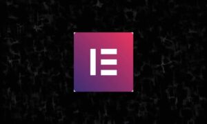 Elementor pro activation with key (one year updates)